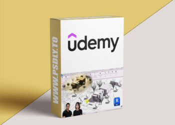 Revit Villa Modeling: From Zero to Stunning Enscape Render