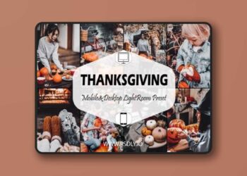 12 Thanksgiving Lightroom Presets