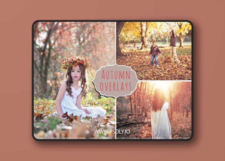 50 Autumn Photoshop Overlays Bundle 387715 1 50 Autumn Photoshop Overlays Bundle 387715