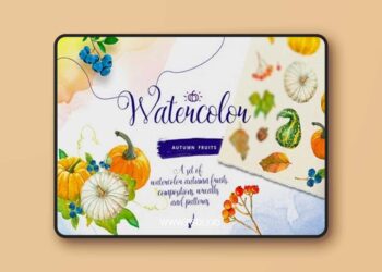 Autumn Fruits, Berries & Leaves 1965348