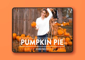 FilterGrade PUMPKIN PIE Lightroom Mobile and Desktop Presets