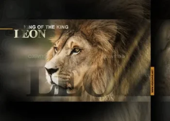 Videohive Incredible Africa 58724471