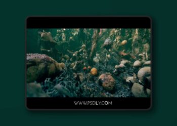 Alien Growth Environment (5.6+)