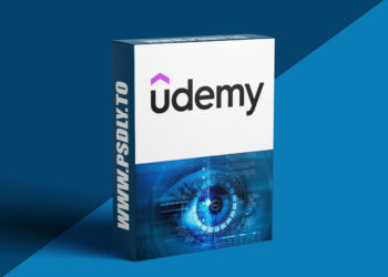 Build a Computer Vision Startup with SAM+Vision Transformers