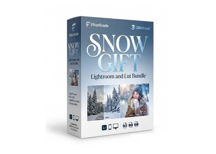 FilterGrade - Snow Gift Lightroom and Lut Bundle 1 FilterGrade Snow Gift Lightroom and Lut Bundle