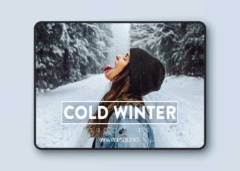 Filtergrade Cold Winter Lightroom Preset
