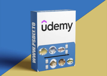 How Set Up Biofloc System For Fish Farm