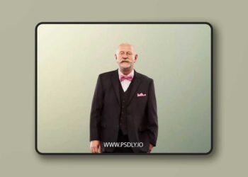 Standing Elegant Best Ager Man low poly 3d model