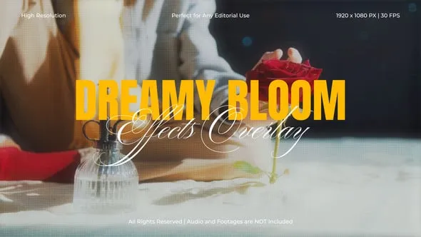 Videohive - Dreamy Bloom Effects for After Effects - 61125347 1 Videohive Dreamy Bloom Effects for After Effects 61125347