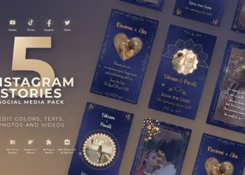 Videohive Luxury Indian Wedding 61094995