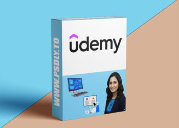 Content Authority SEO 2026: Rank Faster Without Backlinks