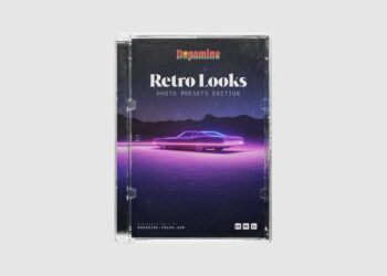 Dopamine Frame Retro Looks Photo Presets