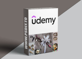 Foundation Shamanic Crystal and Seashell Energy Healer