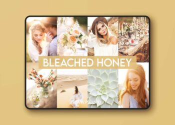 Greater Than Gatsby - Bleached Honey Preset Collection 5 Greater Than Gatsby Bleached Honey Preset Collection