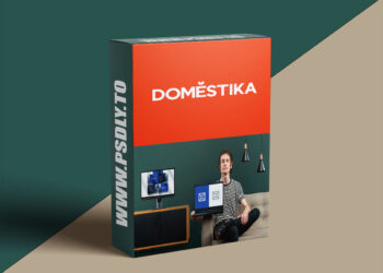 Introduction to Logo Design: From Brief to Final Presentation