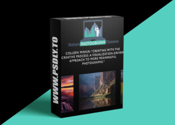 Naturephotocollective - Colleen Miniuk - Creating with the Creative Process: A Visualization - Driven Approach to More Meaningful Photographs