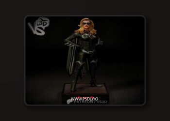 VS3D – Batgirl – Batman Robin – 3D Print Model STL