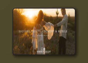 Meridian Presets Saguaro Nostalgic Film Presets
