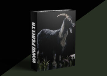 The Gnomon Workshop – Vellum Hair Simulation in Houdini 3 The Gnomon Workshop – Vellum Hair Simulation in Houdini